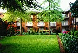 The hotel's beautiful courtyard.